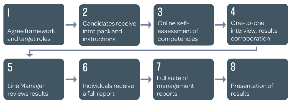 Online Competency Assessment