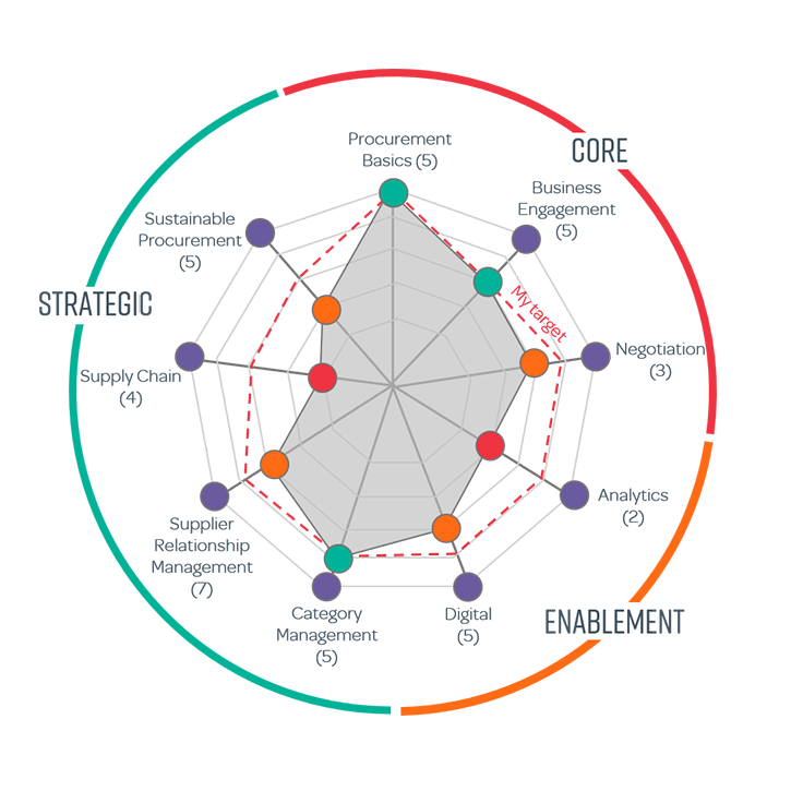 Skills Assessment Graphic