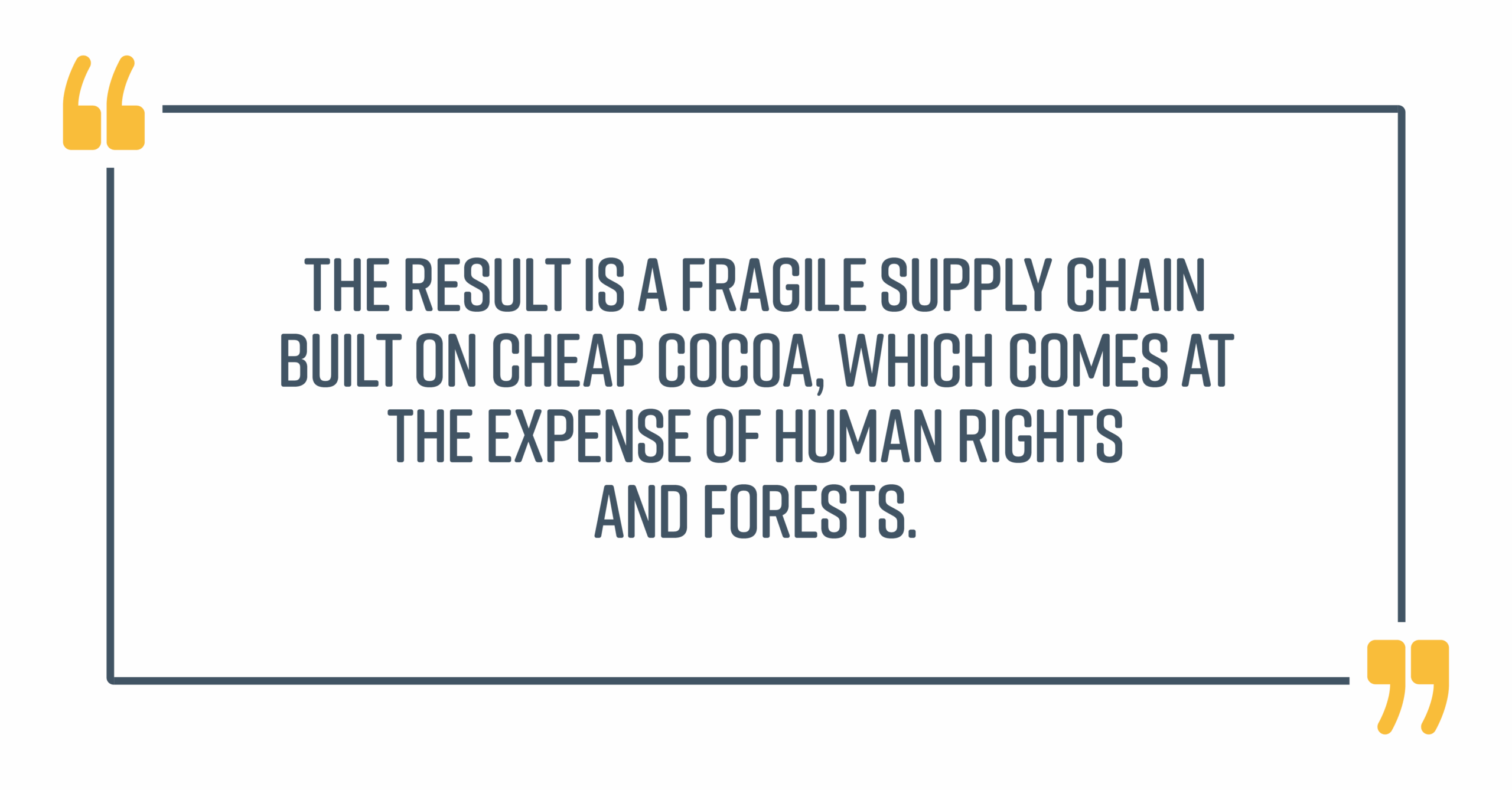 Cocoa supply chain blog quote