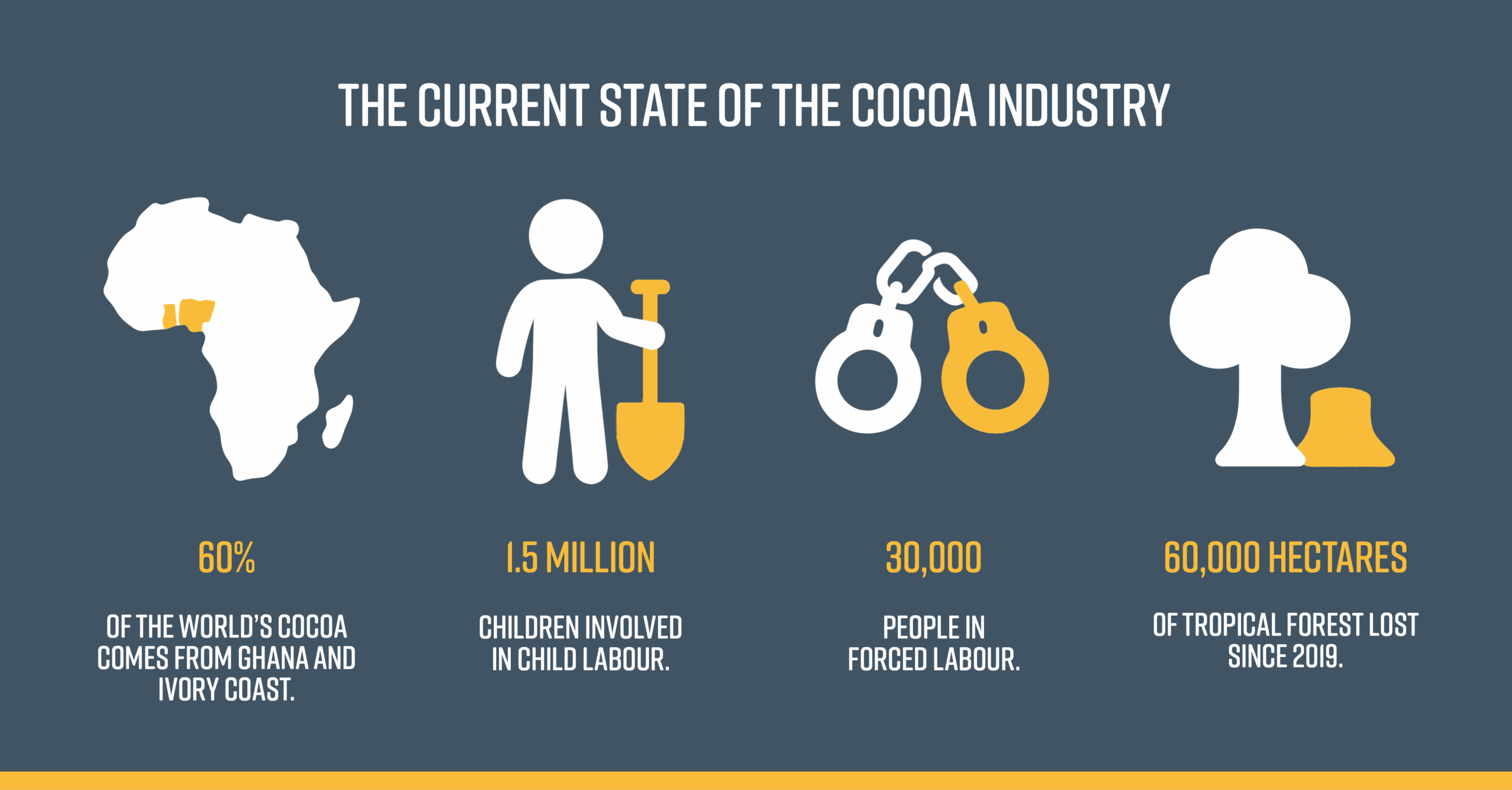 Cocoa Industry Graphic